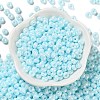 Glass Seed Beads SEED-L011-03A-05-2