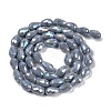 Opaque Solid Color Electroplate Glass Beads Strands EGLA-N013-P10mm-B05-2