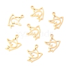 304 Stainless Steel Charms STAS-O142-19G-1