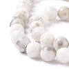 Natural Dolomite Beads Strands G-I318-10-3