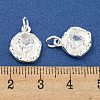 Rack Plating Brass Micro Pave Clear Cubic Zirconia Charms KK-F089-04S-3