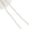 Shell Pearl Beads Strands SHEL-WH0001-009A-2