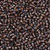 MIYUKI Delica Beads SEED-X0054-DB1790-3