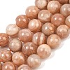 Natural Sunstone Beads Strands G-G342-A02-10.5mm-2