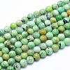 Natural Variscite Beads Strands G-G823-02-6mm-1