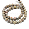 Natural Maifanite/Maifan Stone Beads Strands X-G-T049-10mm-10-2