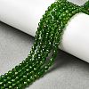 Natural Green Diopside Beads Strands G-NH0046-A01-02-1