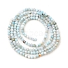 Natural Larimar Beads Strands G-G259-D13-2mm-3