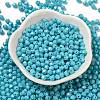 Baking Painted Glass Seed Beads SEED-C004-01H-2