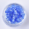 6/0 Glass Seed Beads SEED-S027-05B-04-2