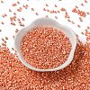 Baking Paint Glass Seed Beads X-SEED-S042-15A-03-2