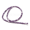 Natural Lepidolite/Purple Mica Stone Beads Strands G-M420-H12-03-3