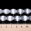 Dyed Natural Selenite Beads Strands G-T138-232A-4