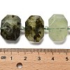 Natural Prehnite Beads Strands G-H078-B08-01-5