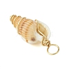 Natural Spiral Shell Pendants PALLOY-JF02793-01-5