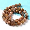 Natural Flower Agate Beads Strands G-B044-A01-03-4