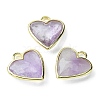 Natural Amethyst Pendants G-O204-01B-1