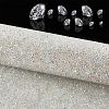 Glitter Resin Hotfix Rhinestone(Adhesive On The Back) DIY-WH0166-23A-4