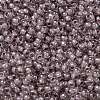 TOHO Round Seed Beads X-SEED-TR11-0353-2