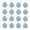 Platinum Plated Alloy Enamel Charms ENAM-S118-04G-P-2