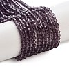 Imitation Austrian Crystal 5301 Bicone Beads LS-GLAA-S026-2mm-03-2
