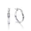 304 Stainless Steel Hoop Earrings STAS-F034-09-2