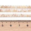 Natural Freshwater Shell Beads Strands SHEL-T011-02-3mm-4