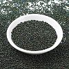 MIYUKI Round Rocailles Beads SEED-JP0008-RR0453-2