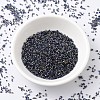 MIYUKI Delica Beads SEED-J020-DB2206-3