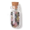 3Pcs Glass Wishing Bottle Decorations PALLOY-JF03096-3