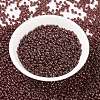 MIYUKI Round Rocailles Beads SEED-G008-RR0309-2