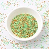 MIYUKI Delica Beads X-SEED-J020-DB2066-2