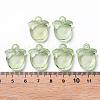 Transparent Acrylic Pendants TACR-S154-28B-83-4