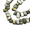 Natural Trochid Shell/Trochus Shell Beads Strands SHEL-S258-082-B01-3