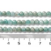 Natural Amazonite Beads Strands G-G140-A18-03-A-3