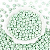 Opaque Baking Paint Glass Seed Beads SEED-N008-03A-06-2