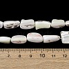 Natural Trochid Shell/Trochus Shell Beads Strands SH-CBA2978-20B-4