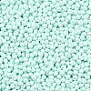 6/0 Glass Seed Beads SEED-L011-08A-14-3