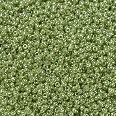 MIYUKI Round Rocailles Beads SEED-G007-RR0439-1