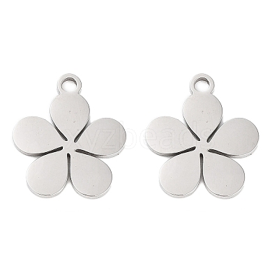 Non-Tarnish 316 Stainless Steel Charms X-STAS-C096-10C-P-1