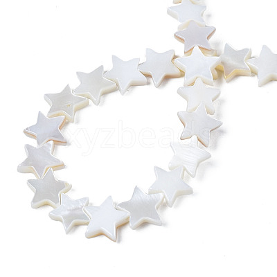 Natural Freshwater Shell Beads Strands SHEL-S278-01B-01-1