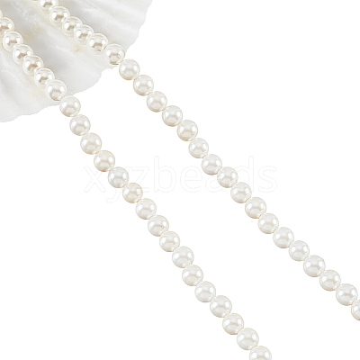 Shell Pearl Beads Strands SHEL-WH0001-009A-1