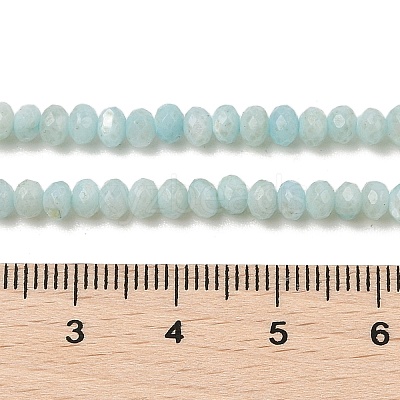 Natural Freshwater Shell Dyed Beads Strands SHEL-R100-13A-02-1