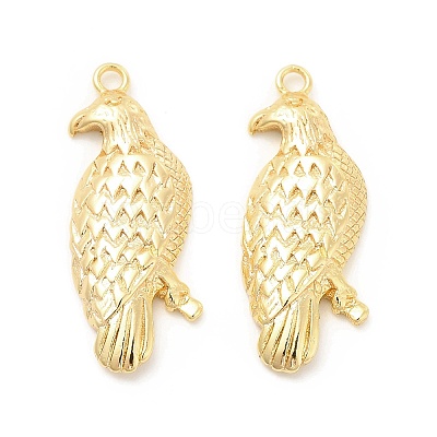 Brass Pendants KK-G447-14G-1