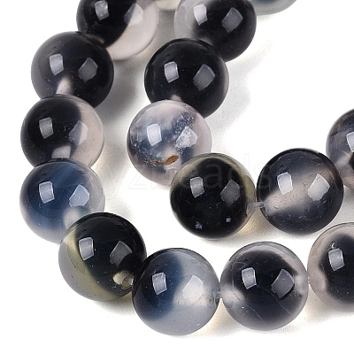 Natural Agate Beads Strands G-Q606-42B-B01-1
