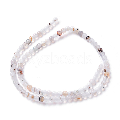 Natural Dendritic Agate Beads Strands G-I261-B03-4mm-1