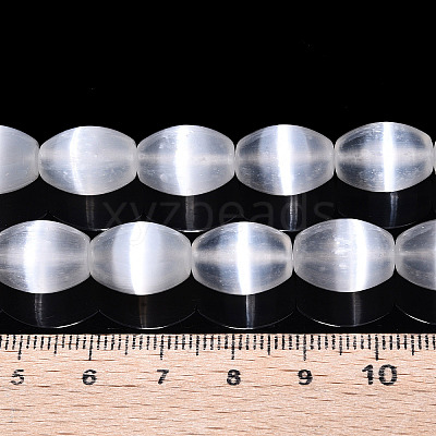 Dyed Natural Selenite Beads Strands G-T138-232A-1