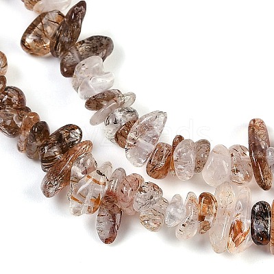 Natural Black Gold Rutilated Quartz Beads Strands G-G905-20-1