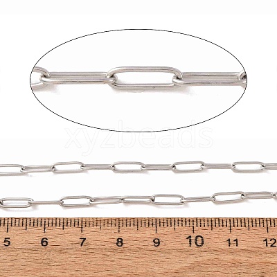 Non-Tarnish 3.28 Feet 304 Stainless Steel Paperclip Chains X-CHS-L022-02P-1