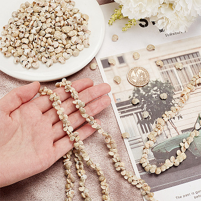 4 Strands Natural Shell Beads Strands BSHE-PH0001-37-1
